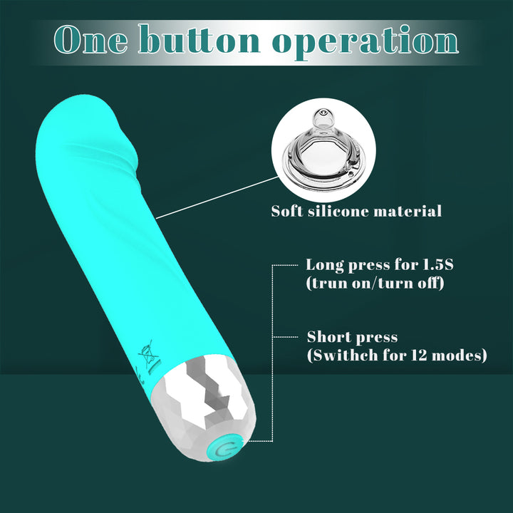 Türkiser Vibrator mit Bedienungsanleitung