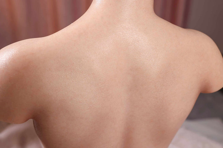 marielove Masturbator Torso Hannah-Leighton mit Funktionen